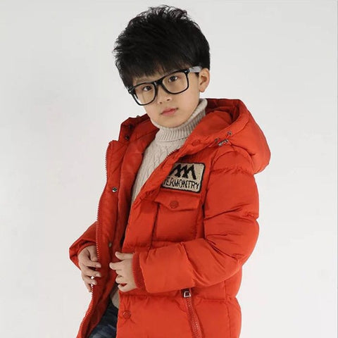 Baby autumn and winter new warm clothing children's jacket thickening plus velvet padded jacket boy hooded jacket boy warm jacke