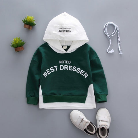 Spring Autumn Children Clothes Baby Boys Girls Cotton Leisure Hooded Sweatshirts Kids Letter Blouse Hoodies Tops For 0-5 Years