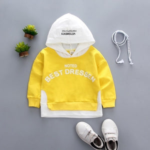 Spring Autumn Children Clothes Baby Boys Girls Cotton Leisure Hooded Sweatshirts Kids Letter Blouse Hoodies Tops For 0-5 Years